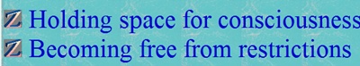 2 themes of practice